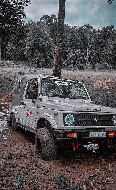 对决瑞典 对决瑞典