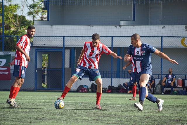 作为一支典 作为一支典